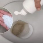 Galite pamiršti baliklį: žmonės masiškai valo tetus vienu produktu Galite pamiršti baliklį: žmonės masiškai valo tetus vienu produktu