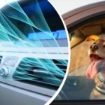 Karščio banga Ukrainoje: kaip greitai atvėsinti automobilio saloną be oro