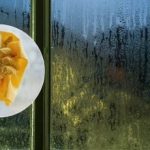 Kondensatas ant langų išnyksta visam laikui: problemą išsprendžia vienas produktas