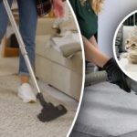 Neliks nė vieno pėdsako: 7 žingsniai, kaip pašalinti šlapimo kvapą